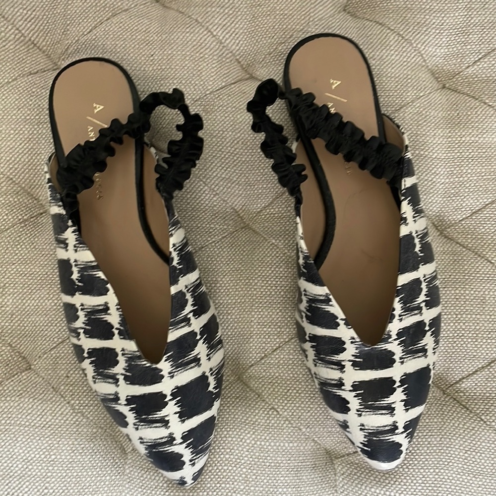Black and white mule